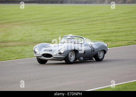 Chichester, West Sussex, Regno Unito. Xiii Sep, 2014. Immagini dal Goodwood 2014 - La Lavant Cup, per Jaguar d-i tipi per commemorare il sessantesimo anniversario di una delle più famose macchine di quell'epoca. Auto incluso a breve e a becco lungo le versioni del D-tipo, che ha vinto la 24 Ore di Le Mans per ben tre anni consecutivi dal 1955-57. Foto mostra : 1957 Jaguar XKSS Credito: Oliver Dixon/Alamy Live News Foto Stock