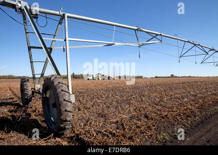 Campo di patate con impianto di irrigazione e potato harvester, Fort Saskatchewan, Alberta, Canada Foto Stock