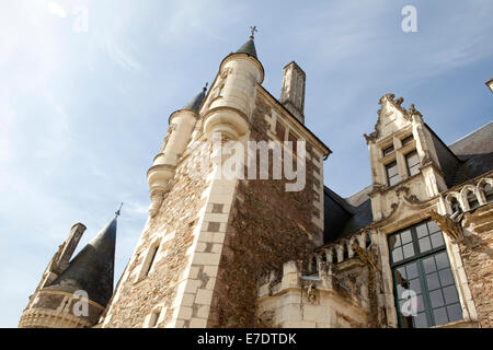 Chateau le pin, Anjou, Francia Foto Stock