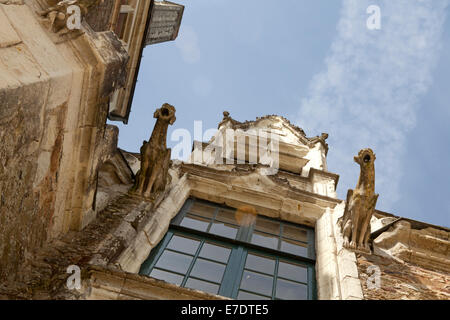 Chateau le pin, Anjou, Francia Foto Stock