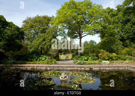 Chateau le pin, Anjou, Francia Foto Stock