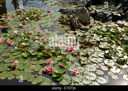 Chateau le pin, Anjou, Francia Foto Stock