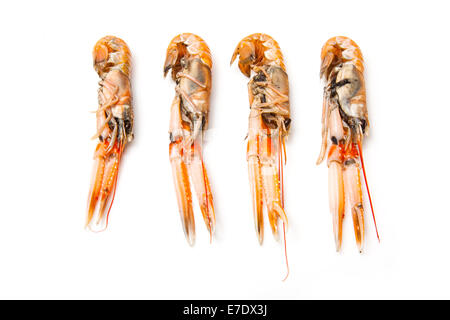Langoustine (Nephrops norvegicus),la baia di Dublino gamberi o scampi isolato su un bianco di sfondo per studio. Foto Stock
