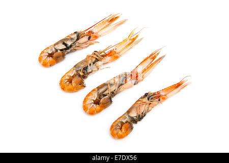 Langoustine (Nephrops norvegicus),la baia di Dublino gamberi o scampi isolato su un bianco di sfondo per studio. Foto Stock
