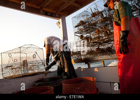 Chesapeake Bay crab pescatori. Eastern Shore, Maryland, Stati Uniti d'America Foto Stock
