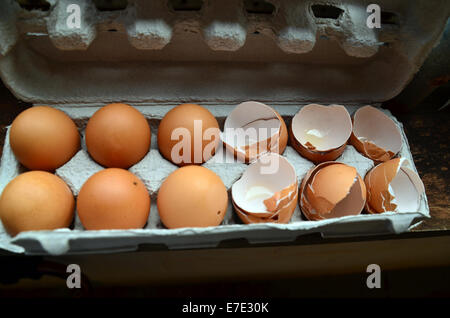 6 uova in una scatola di cartone e 6 gusci delle uova in scatola di cartone Foto Stock