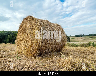 Balla di fieno essiccamento all'aria aperta Foto Stock