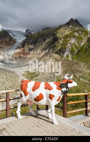 Un modello di vacca da latte di fronte al rapido calo Glacier de pre de bar di Mont Blanc range, Italia. Appropriate come le emissioni di metano provenienti dalle vacche sono un driver del cambiamento climatico. Foto Stock