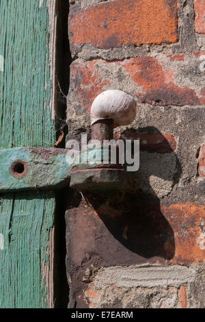 Il vecchio fienile in süderbrarup, schleswig-flensburg distretto, SCHLESWIG-HOLSTEIN, Germania Foto Stock