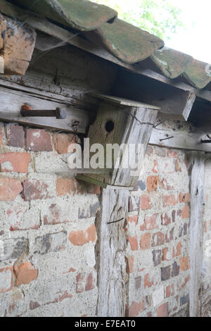 Casella di nesting al vecchio tetto in süderbrarup, schleswig-flensburg distretto, SCHLESWIG-HOLSTEIN, Germania Foto Stock