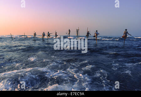 STILT PESCATORI IN SRI LANKA LA MATTINA PRESTO E IL SOLE SOLO IN AUMENTO Foto Stock