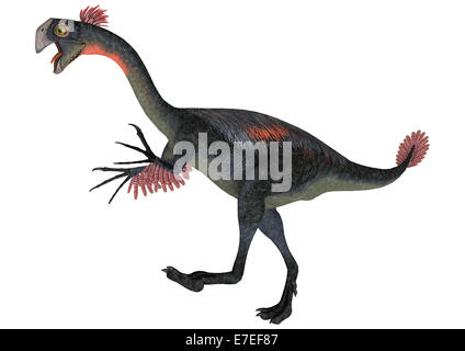 3D render digitale di un dinosauro gigantoraptor isolati su sfondo bianco Foto Stock