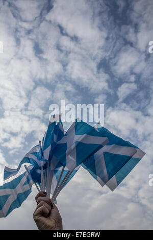 Braccio sventolando bandiere scozzese Foto Stock