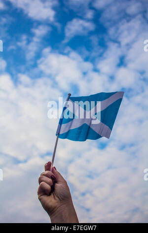 Braccio sventola una bandiera scozzese Foto Stock