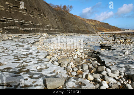 Pavimentazione in calcare del Lias Inferiore formazione sulla Monmouth Beach, Lyme Regis. Su Jurassic Coast di Dorset Foto Stock