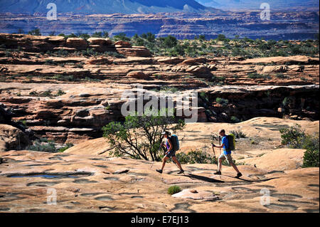 Gli escursionisti sulla spianata di arenaria del tuono River Trail al di sotto del bordo settentrionale del Grand Canyon fuori Fredonia, Arizona a novembre 2011. 21.4-mile loop scende da 2000 piedi in 2,5-miglia attraverso la Coconino arenaria da Bill Hall sentiero per con Foto Stock