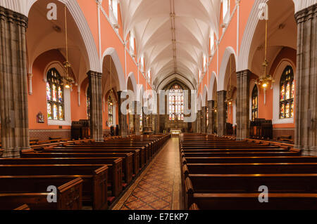 All'interno di Dundalk Cattedrale cattolica romana, Irlanda Foto Stock