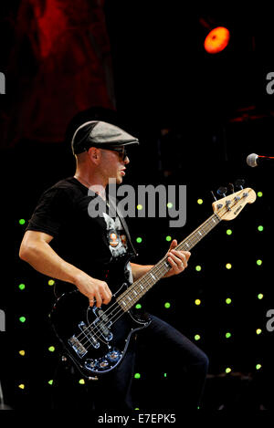 Il bassista Cory McCormick di "La promessa di un reale' Lukas Nelson's Band mettere su un alto rendimento energetico a Farm aiuto 2014 Foto Stock