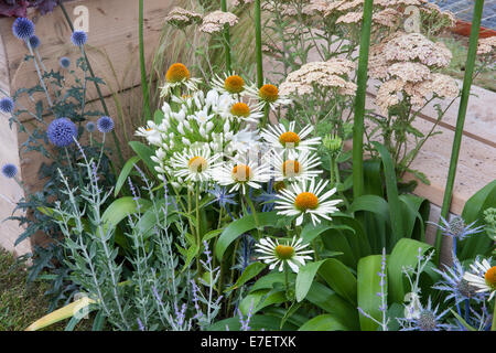 Giardino - Spazio per collegare e far crescere - Vista del giardino e realizzato da industriale bonificata e il riutilizzo di materiali Foto Stock