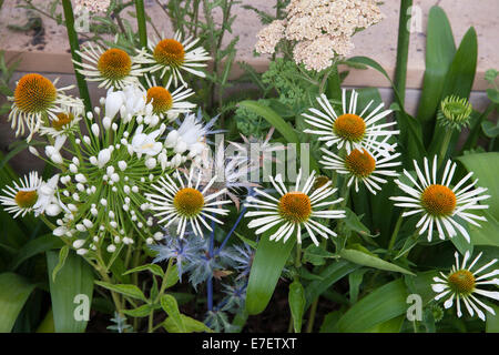 Giardino - Spazio per collegare e far crescere - Vista del giardino e realizzato da industriale bonificata e il riutilizzo di materiali Foto Stock