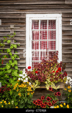 Un cottage finestra con fiori decorativi a Little Red Wagon shop dell'Amana colonie, Iowa, USA. Foto Stock