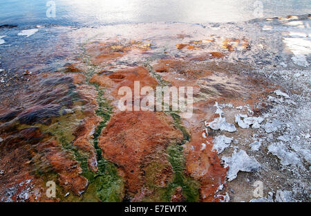 Immagine di Hot Springs nella parte meridionale del Parco Nazionale di Yellowstone che fluisce nel Lago di Yellowstone Foto Stock