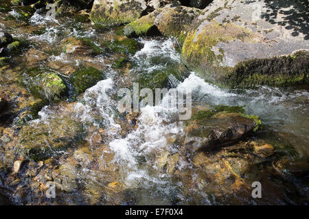 Fiume Heddon Valley Exmoor Devon Foto Stock