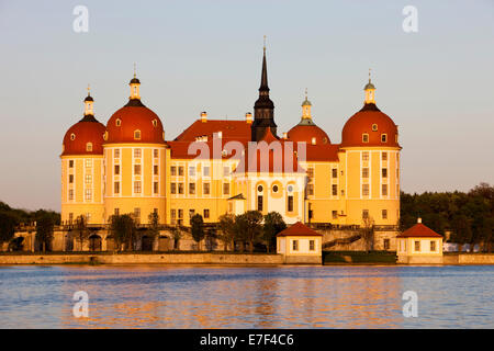 Castello di Moritzburg, Dresda, Sassonia, Germania Foto Stock