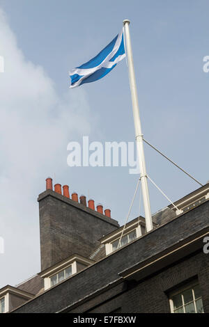 Westminster London, Regno Unito. 16 Settembre, 2014. La si intraversa bandiera scozzese di Saint Andrew vola a fianco della Union Jack in Downing a sostegno dell'Unione prima dell'indipendenza scozzese referendum su settembre 18th, 2014. Foto Stock