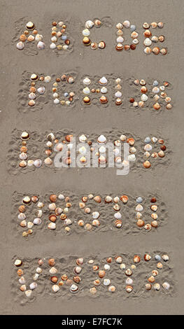 Alfabeto lettere stabiliti dal mare conchiglie sulla spiaggia di sabbia Foto Stock