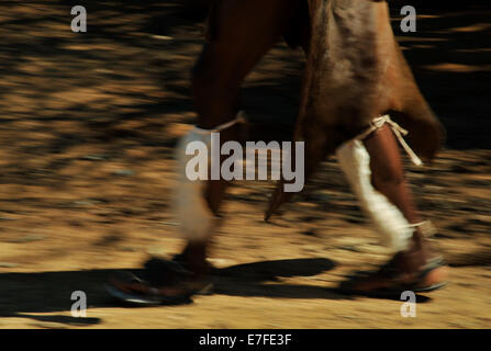 Di Eshowe, KwaZulu-Natal, Sud Africa, motion blur, gambe, piedi, Zulu uomo a camminare nel tradizionale abito cerimoniale, Shakaland culturale villaggio a tema Foto Stock