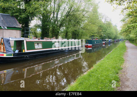 Canal chiatte ormeggiate in Llangollen canal un ramo del Shropshire Union Canal Foto Stock