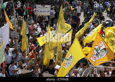 Nablus, West Bank, Territorio palestinese. 16 Sett 2014. Sostenitori palestinese del movimento Fatah tenere il movimento di bandiere durante una manifestazione di protesta per la marcatura del 48esimo anniversario dei massacri di Sabra e Shatila nel 1982, in Cisgiordania città di Nablus, 16 settembre 2014. I massacri di Sabra e Shatila è stata la macellazione di tra 762 e 3.500 civili, soprattutto palestinesi e sciiti libanesi, dal partito Kataeb, un libanese milizia cristiana, nel quartiere di Sabra e Shatila adiacenti campo profughi a Beirut, in Libano. Credito: ZUMA Press, Inc./Alamy Live News Foto Stock