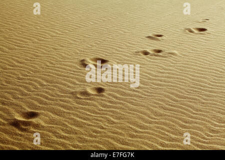 Impronte umane nella sabbia del deserto Foto Stock