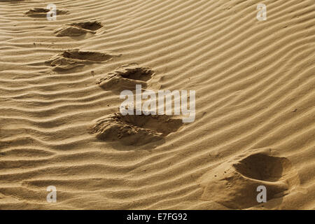 Impronte umane nella sabbia del deserto Foto Stock