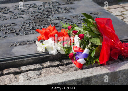 Lapide presso il monumento internazionale alle vittime del fascismo al Campo di Concentramento di Auschwitz-Birkenau, Polonia Foto Stock