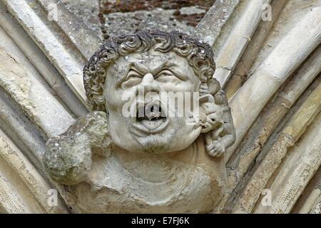 Gargoyle sulla Cattedrale di Salisbury Foto Stock