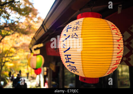 Kyoto, Jpana - Novembre 20, 2013: rosse foglie di acero in autunno per adv o altri usi Foto Stock