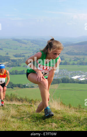 Femmina runner cadde in competizione in una gara cadde in un paese mostrano Foto Stock