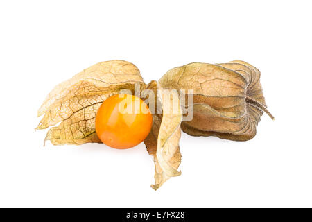 Physalis frutta (cape gooseberry) con buccia Foto Stock