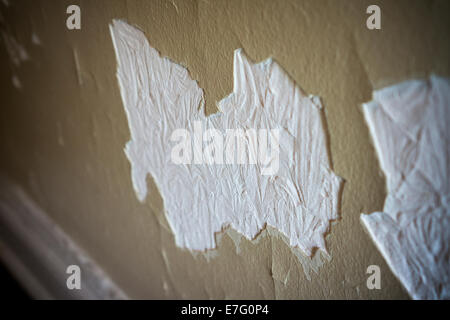 Parete danneggiata e gesso in una casa a New York sabato 13 settembre, 2014. (© Richard B. Levine) Foto Stock