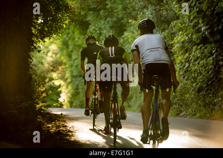 Tre i ciclisti cavalcare un sentiero ombreggiato attraverso una foresta di Pembrokeshire, Galles Foto Stock