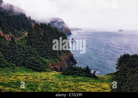 Nebbia estiva ascensori lungo dell'Oregon costa centrale rivelando la lontra Crest membro Punto Panoramico e Capo Foulweather. Foto Stock