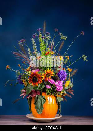 Wild bouquet di fiori di zucca intagliata vaso su sfondo blu scuro Foto Stock