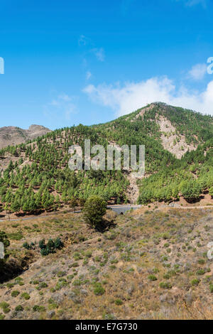 Ponte stradale, Santiago del Teide Tenerife, Isole Canarie, Spagna Foto Stock