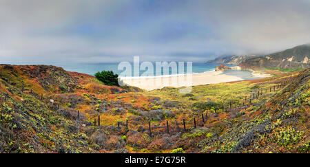 Spiaggia di sabbia sulla California Pacific Coast, vicino al punto Sur, California, Stati Uniti Foto Stock