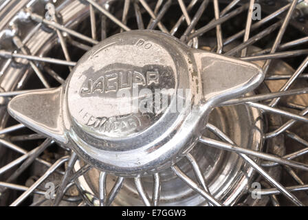 Impressionante cromato lucido ha parlato della Jaguar XKS 120 ruota a raggi Foto Stock