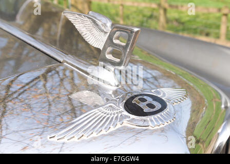 Winged Bentley logo ed emblema distintivo di metallo sul cofano argento lucido auto anteriore classic collezionisti simbolo iconico Foto Stock