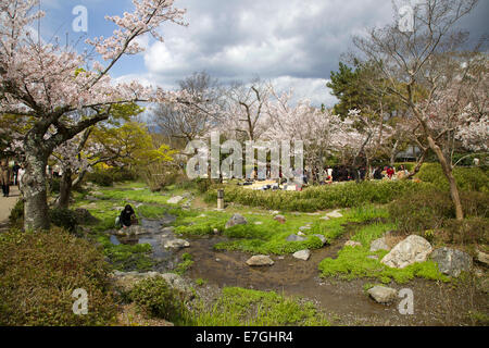 Il popolo giapponese, i turisti facendo picnic durante la fioritura dei ciliegi stagione. Maruyama-koen park, Kyoto, Giappone, Asia Foto Stock