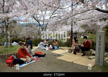 Il popolo giapponese, i turisti facendo picnic durante la fioritura dei ciliegi stagione. Maruyama-koen park, Kyoto, Giappone, Asia Foto Stock